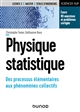 Physique statistique : des processus élémentaires aux phénomènes collectifs