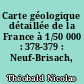 Carte géologique détaillée de la France à 1/50 000 : 378-379 : Neuf-Brisach, Obersaasheim