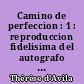 Camino de perfeccion : 1 : reproduccion fidelisima del autografo de El Escorial con las variantes del autografo valisoletano, precedido de una introduccion