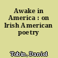 Awake in America : on Irish American poetry