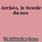 Archéo, le fossile du zoo