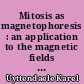 Mitosis as magnetophoresis : an application to the magnetic fields of the ions