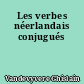 Les verbes néerlandais conjugués