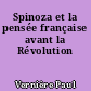 Spinoza et la pensée française avant la Révolution