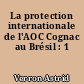 La protection internationale de l'AOC Cognac au Brésil : 1