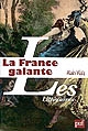 La France galante : essai historique sur une catégorie culturelle, de ses origines jusqu'à la Révolution