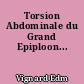 Torsion Abdominale du Grand Epiploon...