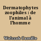 Dermatophytes zoophiles : de l'animal à l'homme