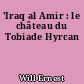 'Iraq al Amir : le château du Tobiade Hyrcan