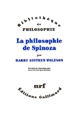 La philosophie de Spinoza : pour démêler l'implicite d'une argumentation