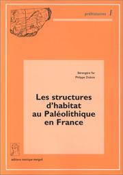 Les structures d'habitat au paléolithique en France