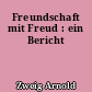 Freundschaft mit Freud : ein Bericht