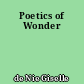 Poetics of Wonder